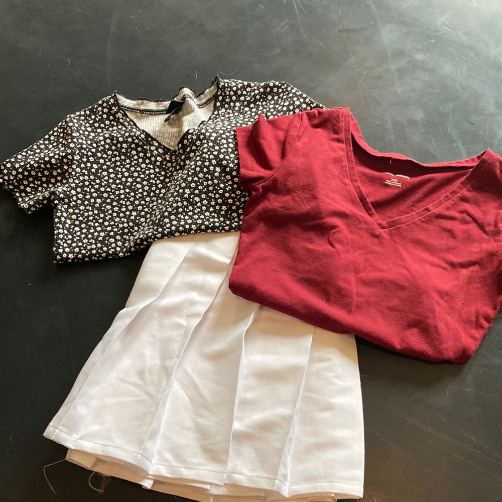 Pleated skirt and crop t bundle